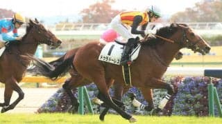 【新馬/東京5R】ドゥラドーレスが直線一気で差し切る