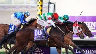 「ダート適性の高さを感じさせる血統」パワーだけでなくスピードにも秀でたマルシュロレーヌ