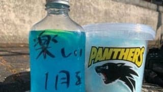 【ながみんのバリカタ排球道／黒豹フェス2021現地リポ前編】