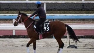 ソーラスなど、先週のゲート試験/栗東トレセンニュース
