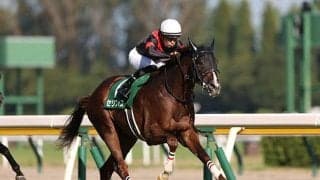 【デイリー杯2歳S想定騎手】セリフォスは藤岡佑介騎手、ソネットフレーズはC.ルメール騎手