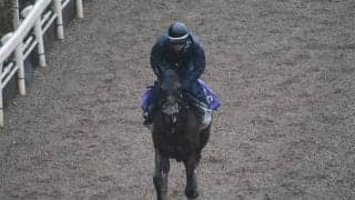 ワグネリアンなど、先週の入厩情報/栗東トレセンニュース