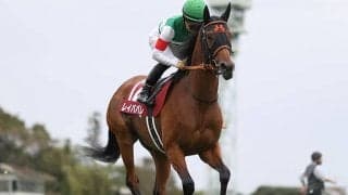 【エリザベス女王杯「見逃せない調教師」ベスト3】管理調教師は阪神芝2200mで複勝率50％。人気でもあの馬には逆らえない!?