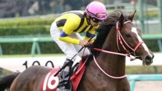 【福島記念予想オッズ】ステイフーリッシュが予想1番人気