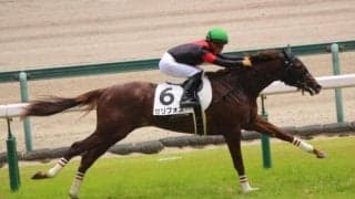 【デイリー杯2歳S予想オッズ】新潟2歳S覇者セリフォスが予想1番人気