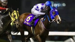 【川崎・ローレル賞結果】道営所属スティールルージュが暮れの大一番の前哨戦を制す