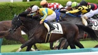 【武蔵野S予想オッズ】昨年の2着馬ソリストサンダーが予想1番人気