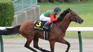 【武蔵野S「見逃せない調教師」ベスト3】東京ダート1600mで押さえておくべきなのは栗東所属のあの調教師！