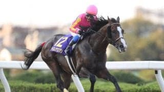 【武蔵野S展望】ダート重賞の中でも屈指のスピードレース