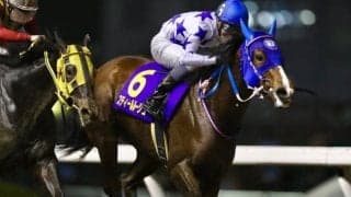 【川崎・ローレル賞】道営所属スティールルージュの桑村真明騎手「折り合いに成長。これからも活躍できる馬」