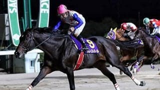 グレイトパールが3連覇！ 年に1度の2500m・九州大賞典で強い勝ち方ができる理由