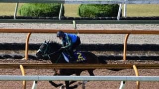 カテドラル、マイルCS1週前追い切り速報/栗東トレセンニュース