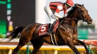 【AI予想】エリザベス女王杯はウインキートスに注目！ GI初挑戦もデータや展開が後押し