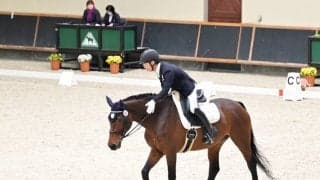 全日本パラ馬術大会で自己ベスト！成長を語る上で欠かせない稲葉将の転機