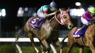 【川崎・ロジータ記念結果】カイカセンゲンの素質がついに花開く！母カイカヨソウと親子制覇