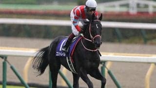 【ジャパンC想定】コントレイル、シャフリヤール、ワグネリアン、マカヒキ…4世代のダービー馬が激突予定