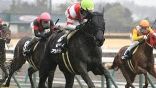 【エリザベス女王杯展望】上位拮抗の女王決定戦、好走の条件とは