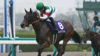 エリザベス女王杯の本命、レイパパレとアカイトリノムスメを徹底比較。もう１頭気になる血統馬も