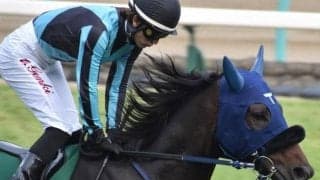 【福島記念展望】秋の福島の名物重賞、前走凡走馬が巻き返す傾向にある