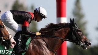 【デイリー杯2歳S出走馬・騎手確定】セリフォス＆藤岡佑介騎手、ソネットフレーズ＆ルメール騎手など7頭