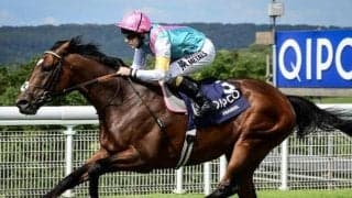 フランケルの種付け料が3000万円突破！　晩年のディープインパクトに匹敵