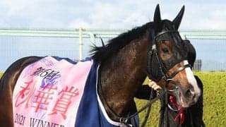 【エリザベス女王杯出走馬・騎手確定】アカイトリノムスメ＆戸崎圭太騎手、レイパパレ＆ルメール騎手など17頭