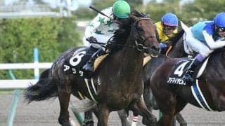 【福島記念出走馬・騎手確定】ステイフーリッシュ＆坂井瑠星騎手、アラタ＆大野拓弥騎手など16頭