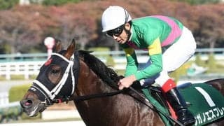 【京都ジャンプS出走馬・騎手確定】タガノエスプレッソ＆平沢健治騎手、ホッコーメヴィウス＆黒岩悠騎手など13頭