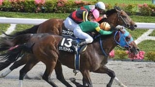 【武蔵野S出走馬・騎手確定】ソリストサンダー＆戸崎圭太騎手、タガノビューティー＆石橋脩騎手など16頭