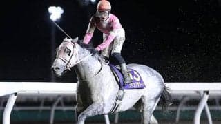 2年連続で売り上げ500億円突破！ 躍進のチャンスを迎えているホッカイドウ競馬