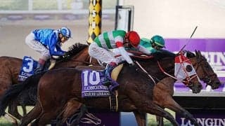 米国競馬の牙城を崩したマルシュロレーヌ/島田明宏