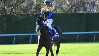 【エリザベス女王杯 調教後馬体重】アカイトリノムスメは456kg、レイパパレは448kg