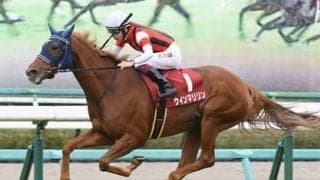 今年のエリザベス女王杯は過去の好走例にピタリとハマる穴馬不在も、それに似たタイプの３頭に激走の予感