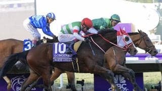 マーフィー騎手「本当に信じられません」マルシュロレーヌのBCディスタフ制覇について英メディアで回顧