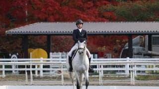 秋深し小淵沢の地　新井が４位入賞を果たすー全日本学生馬術大会2021