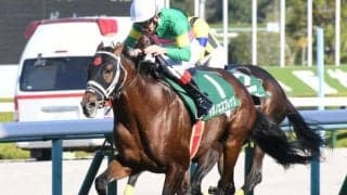 【京都ジャンプS枠順確定】タガノエスプレッソは5枠6番、ホッコーメヴィウスは7枠10番