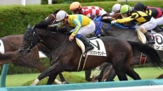 【武蔵野S枠順確定】ソリストサンダーは大外8枠16番、タガノビューティーは1枠1番
