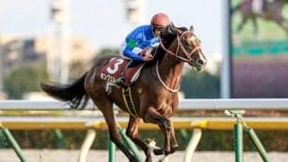 【JRA】キングエルメスが骨折、3ヶ月以上の休養へ　京王杯2歳S覇者