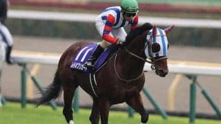 【次走】ムイトオブリガードは福島記念を回避しジャパンCへ　除外の場合はチャレンジC