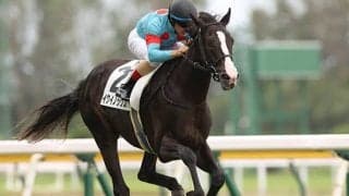 【東スポ杯2歳S想定】今年からGII昇格、新馬戦圧勝のキタサンブラック産駒イクイノックスなど13頭