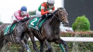 【武蔵野S予想】ダートのマイル巧者が集結！ 実績馬が消える複勝率「0%」の条件とは/JRAレース展望