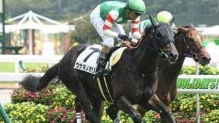 【デイリー杯2歳S予想】昨年は中京マイル組がワンツー！ 阪神開催でポイントとなるのは…/JRAレース展望