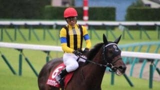 【エリザベス女王杯】ランブリングアレー陣営「自分らしいレースをしてくれれば」/ねぇさんのトレセン密着