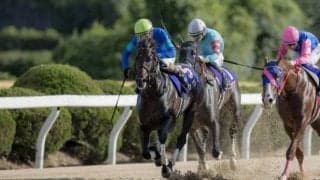 サヴィが競走馬登録抹消