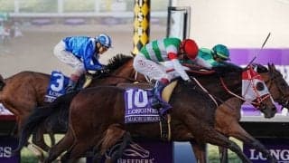 【JRA】BCディスタフ覇者マルシュロレーヌなど　米遠征・日本馬5頭が帰国