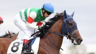 【本日の注目ポイント】阪神でデイリー杯2歳Sと京都JS、東京では武蔵野S