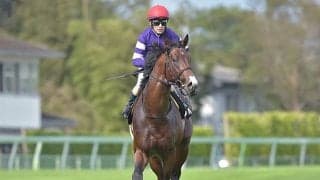 【デイリー杯2歳S予想】2歳GIへのステップレース　自在性が武器の若駒に注目