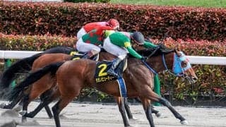 【武蔵野S予想】コース形態からチャンピオンズCとは切り分けて考えたい一戦