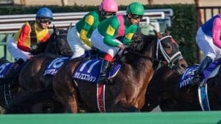 【京都ジャンプS予想】タガノエスプレッソが暮れの中山大障害に向け始動！