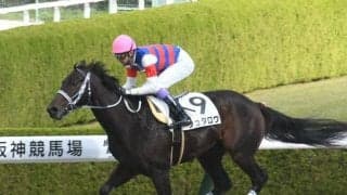 【阪神4R新馬戦結果】アロゲート産駒ジュタロウが3角から後続を突き放し大差圧勝